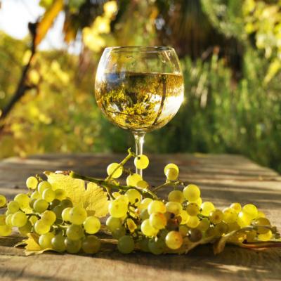 Descoperire incredibila despre VINUL ALB. Toata lumea trebuie sa stie asta 