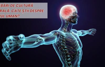 Intrebari de cultura generala: Cate stii despre corpul uman?