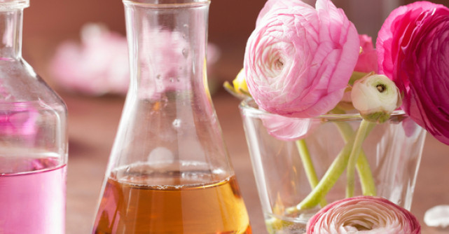 Eric-Emmanuel Schmitt: Elixirul dragostei