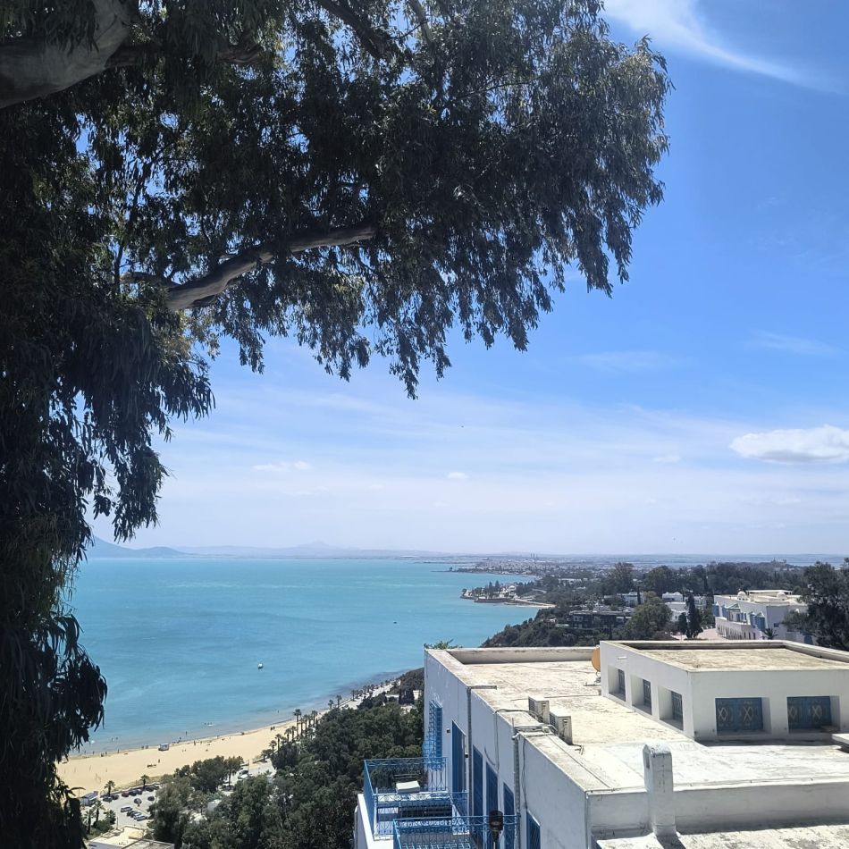 Ce nu îți spune nimeni despre vacanța în Tunisia. Cum m-a cucerit prin oamenii, culorile și atmosfera ei autentică
