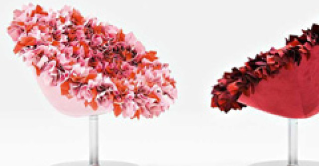 Trend: fotolii contemporane