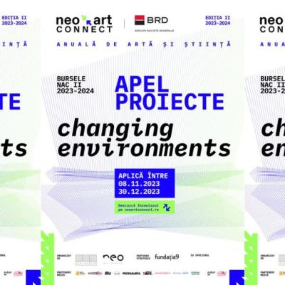 S-a lansat noul Apel de proiecte pentru Bursele NAC, Neo Art Connect - ediția a II-a, 2024