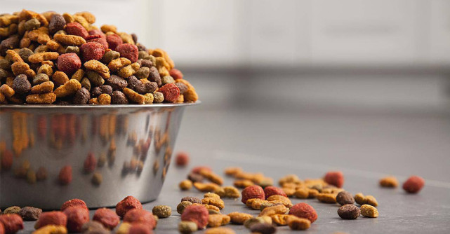 Cum să alegi hrana ideală pentru animalul tău de companie?