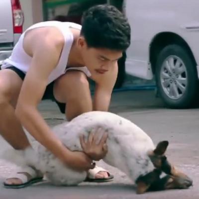 Video: Ia cainii fara stapan de pe strada. Ce face cu ei? Mi-a topit inima complet