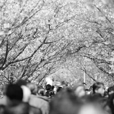 Parerea lui Radu: De ce o fi lasat Dumnezeu lucrurile asa?