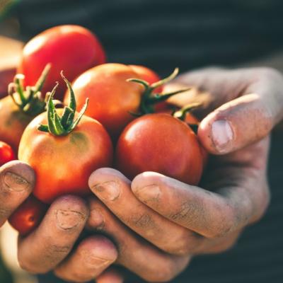 Din alimentele verii. Rosiile, beneficii pentru organism