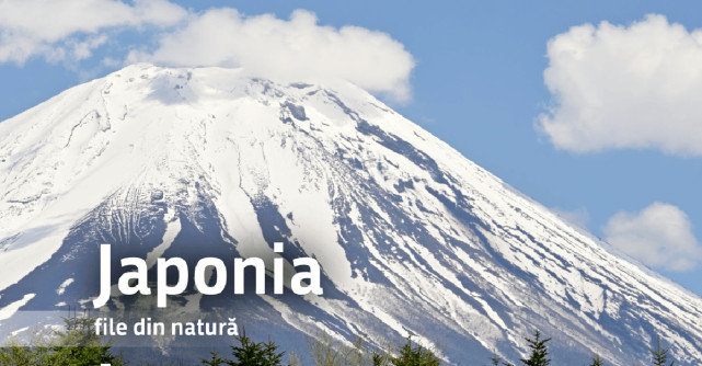 Muzeul Antipa deschide expoziția 'Japonia, file din natură”'