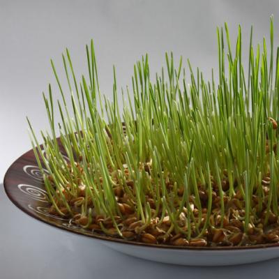 Grau de Sf. Andrei: ce semnifica acest obicei