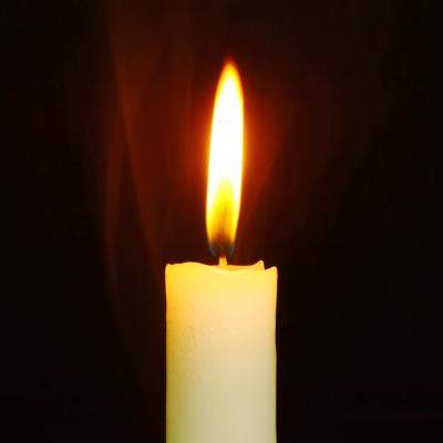 A murit Rodica Stănoiu, fosta ministră a Justiției în guvernul condus de Adrian Năstase