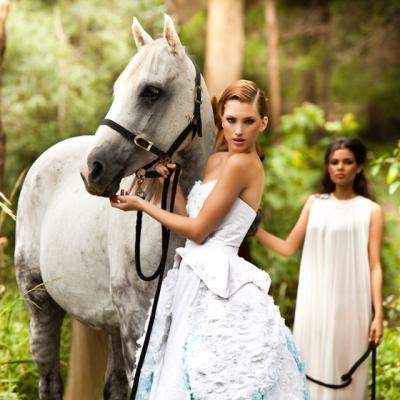 Horoscop spiritual: Afla ce esti in Zodiacul Totemic