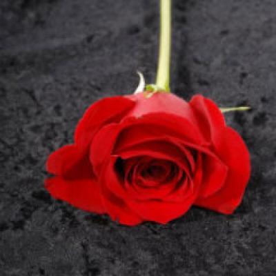 Gandeste-te la mine, iubitul meu!