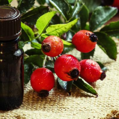 Macesele si nebanuitele lor beneficii