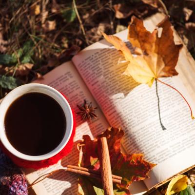 Trei romane de dragoste românești pe care trebuie să le (re)citești