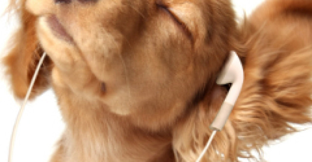 5 clipuri funny de pe bloguri