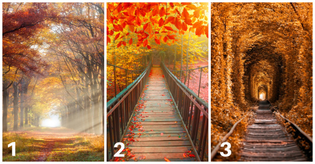 Alege o imagine si afla ce iti rezerva finalul de an 2021