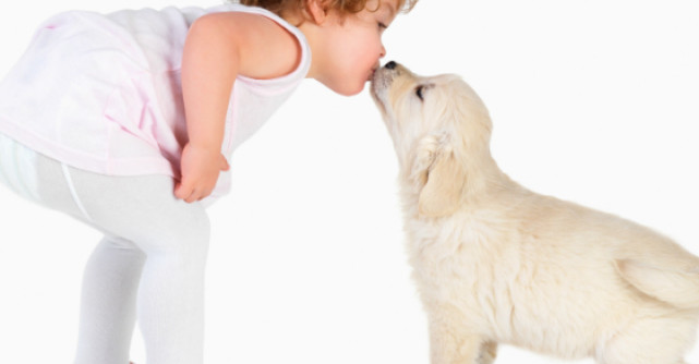 Video: Cel mai tare clip al momentului pe Youtube