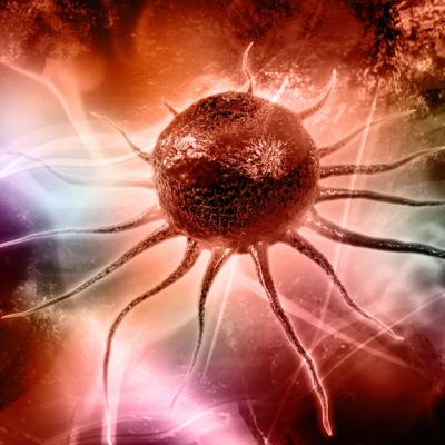 Ce ar trebui sa stii despre CELULELE STEM