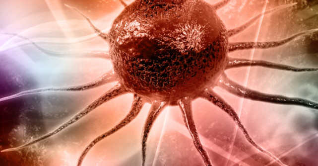 Ce ar trebui sa stii despre CELULELE STEM