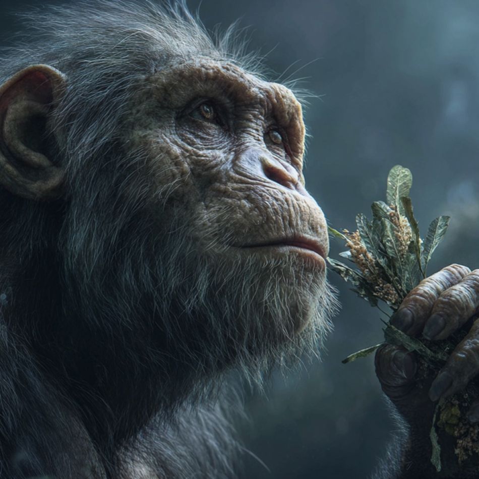 Cum arăta Lucy, strămoașa tuturor oamenilor: Fosila de Australopithecus care rescrie tot ce credeam despre originile noastre