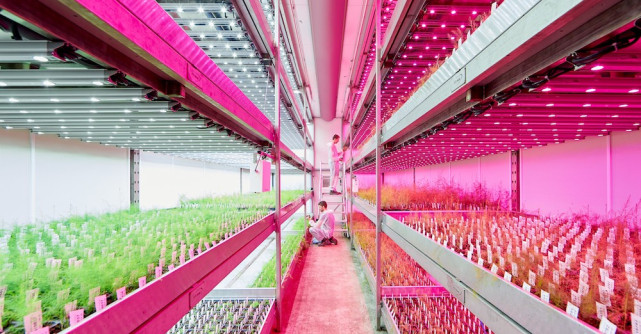 Signify ridică standardele de sănătate și bunăstare la birou cu noile pachete de senzori IoT și elimină emisiile de carbon