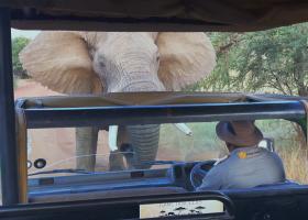 Noutățile lunii septembrie de la National Geographic & National Geographic Wild