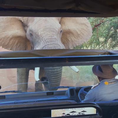 Noutățile lunii septembrie de la National Geographic & National Geographic Wild 