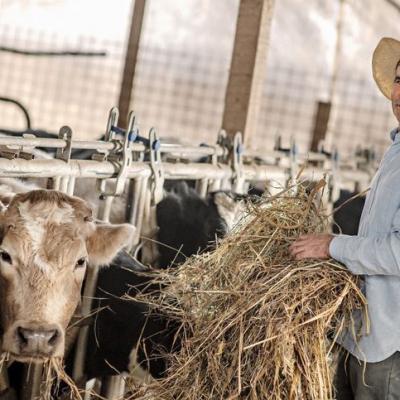 Danone România continuă investițiile