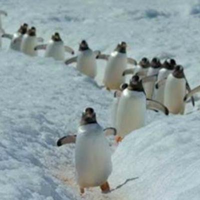 Documentare Netflix disponibile gratuit pentru profesori si elevi