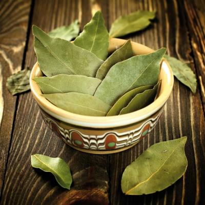 Care e motivul pentru care e BENEFIC sa gatesti folosind frunze de dafin