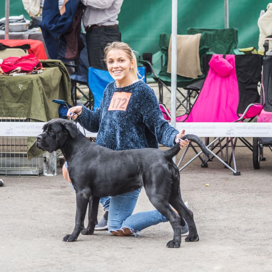 Andreea Ibacka și-a găsit câinii! Anunțul său a fost distribuit în număr mare: Din toată inima noastră vă rugăm să ne ajutați...