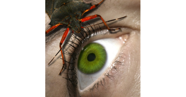 Parerea expertului: Teama, prieten sau dusman?