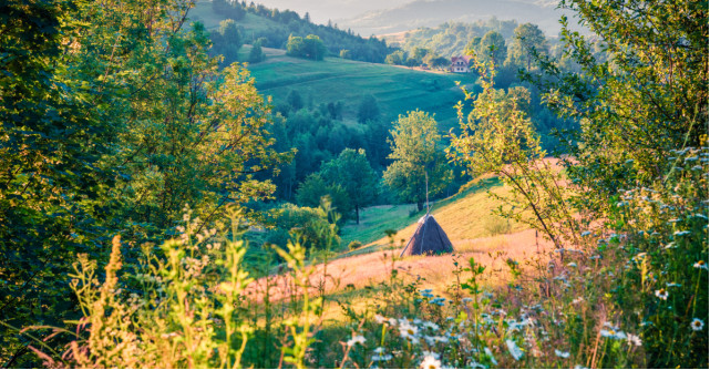 Cele mai frumoase citate despre natură: Natura a știut să facă și din ciulini o capodoperă