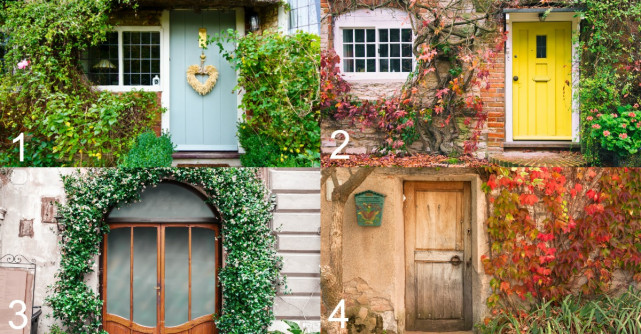 Ușa pe care o alegi îți va arăta caracteristicile ascunse ale personalității tale