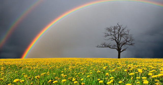 Uneori cele mai întunecate momente ne pot duce către cele mai luminate cărări