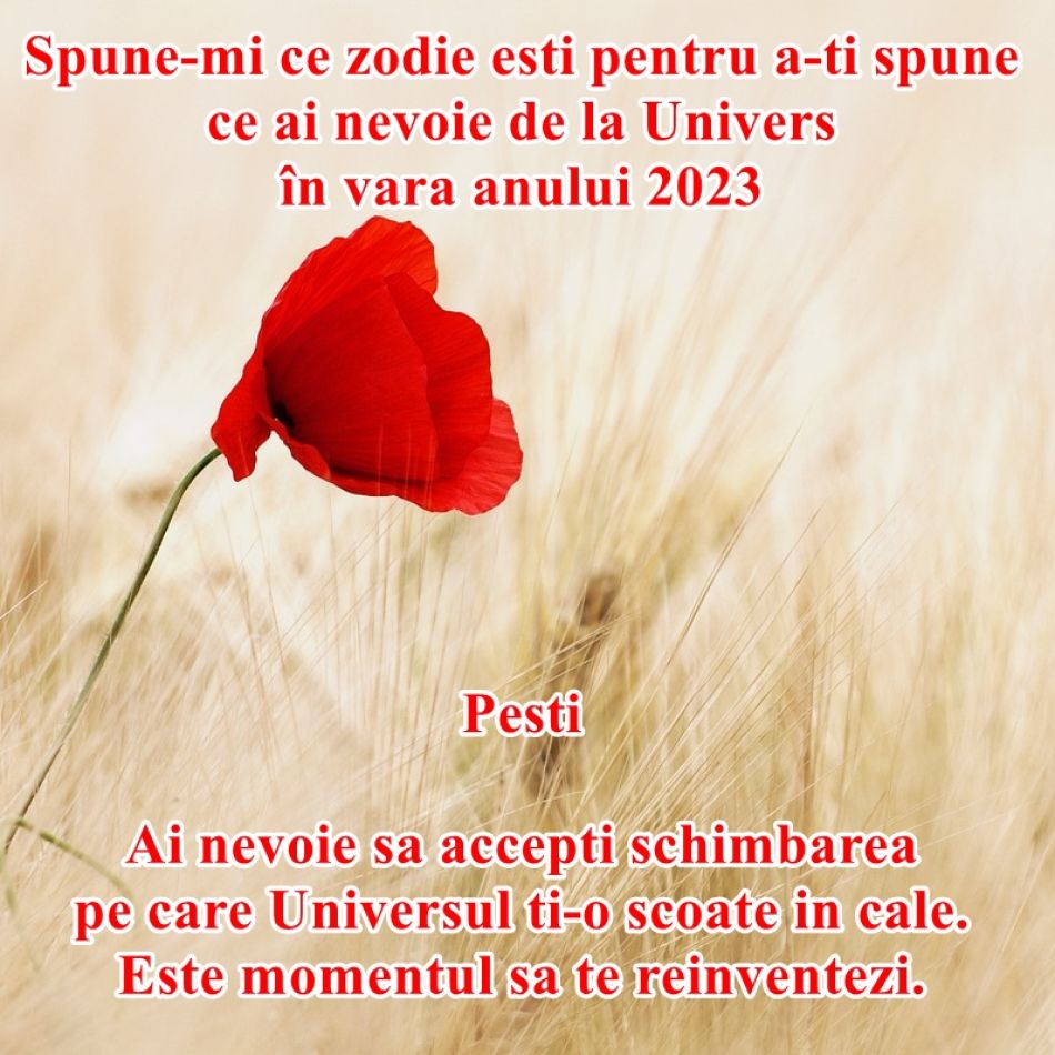 Spune-mi ce zodie ești pentru a îți spune de ce ai nevoie de la Univers în vara anului 2023