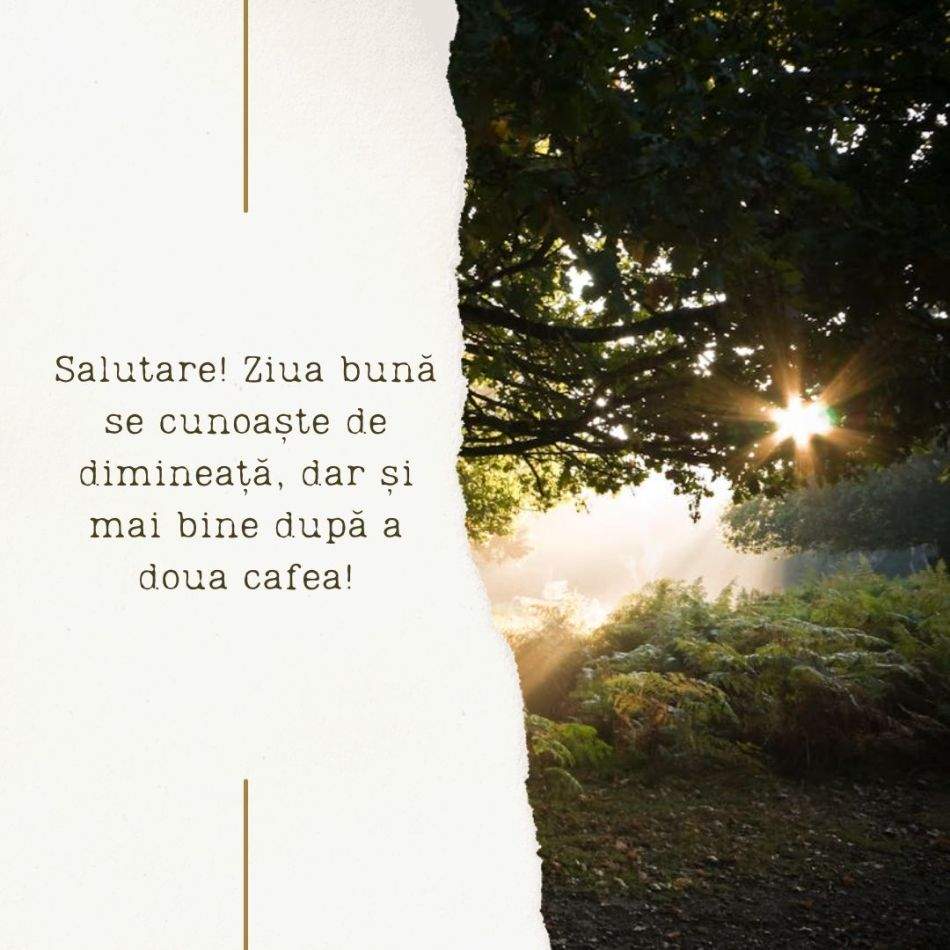 O zi frumoasă: Spune-i bună dimineața la cafea cu urări  DE BUNĂ DIMINEAȚA