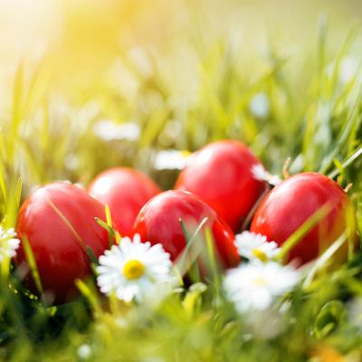 Mesaje de Paște care oferă dragoste, speranță și liniște în suflet