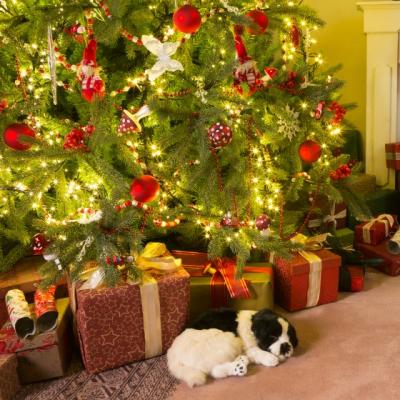 Cinci pasi pentru planificarea sarbatorilor de Craciun alaturi de cei dragi