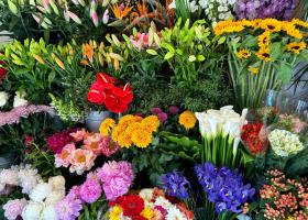 Cum să menții buchetele de flori proaspete mai mult timp: 9 sfaturi esențiale