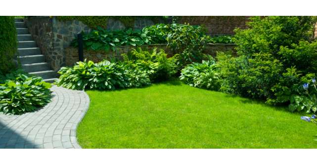 Ce trebuie să ai când stai la casă: 4 idei pentru grădina ta