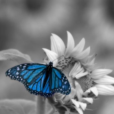 8 Semne ca sa faci deosebirea dintre o persoana sincera si una mincinoasa