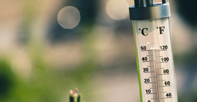 Cum să-ți ajuți corpul să se adapteze mai bine caniculei