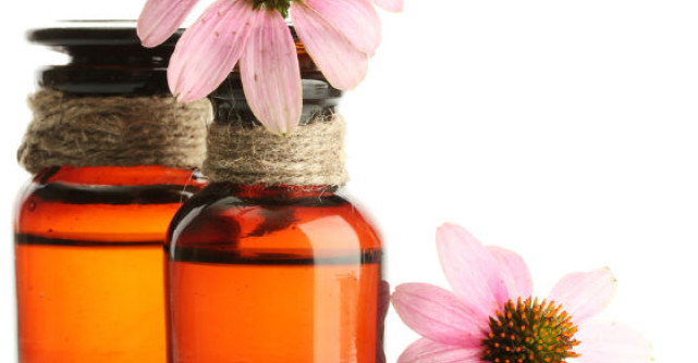 Echinaceea: beneficii uimitoare asupra IMUNITATII