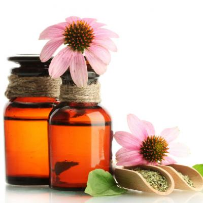 Echinaceea: beneficii uimitoare asupra IMUNITATII