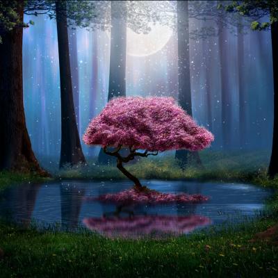 Testul Copacului Magic: Care este radacina ta spirituala? 