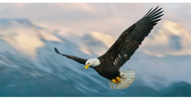 Tu cum faci fata greutatilor?