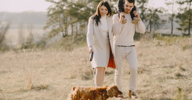 Ce trebuie să faci când vrei să aduci un animal de companie în familie