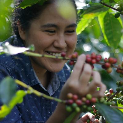 Strauss Coffee ne invita la o ceasca de cafea cu constiinta