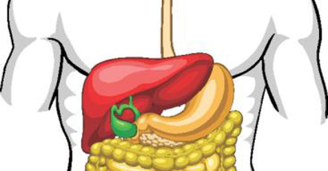 Tratamente NATURISTE pentru FIERE (vezica biliara)