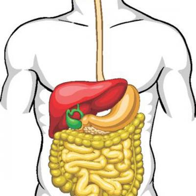 Tratamente NATURISTE pentru FIERE (vezica biliara)